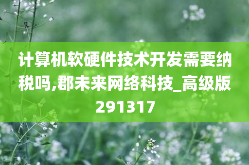 计算机软硬件技术开发需要纳税吗,郡未来网络科技_高级版291317