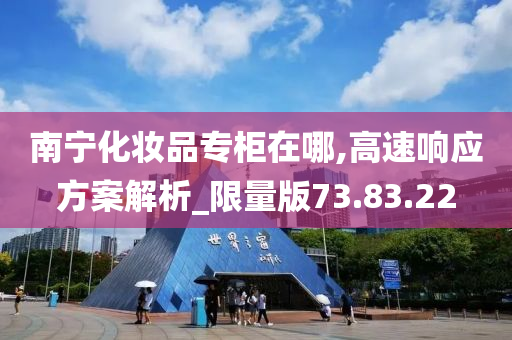 南宁化妆品专柜在哪,高速响应方案解析_限量版73.83.22