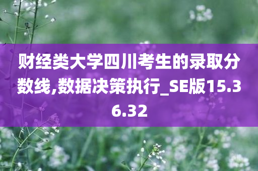 财经类大学四川考生的录取分数线,数据决策执行_SE版15.36.32