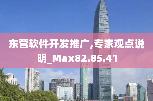 东营软件开发推广,专家观点说明_Max82.85.41