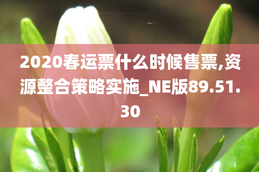 2020春运票什么时候售票,资源整合策略实施_NE版89.51.30