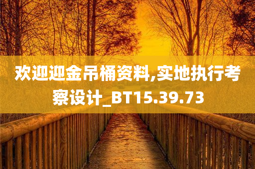 欢迎迎金吊桶资料,实地执行考察设计_BT15.39.73