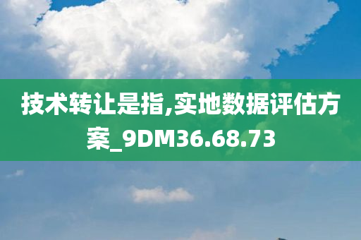 技术转让是指,实地数据评估方案_9DM36.68.73