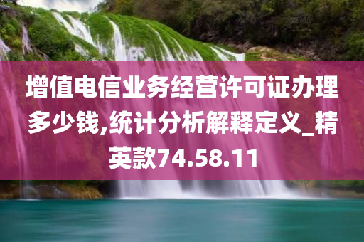 增值电信业务经营许可证办理多少钱,统计分析解释定义_精英款74.58.11