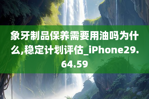 iPhone评估