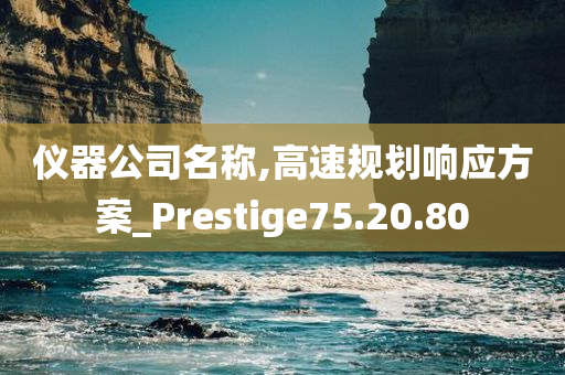 仪器公司名称,高速规划响应方案_Prestige75.20.80