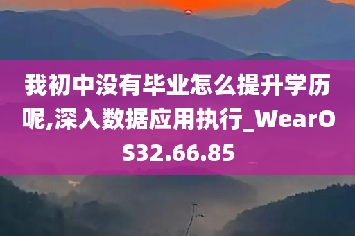 我初中没有毕业怎么提升学历呢,深入数据应用执行_WearOS32.66.85