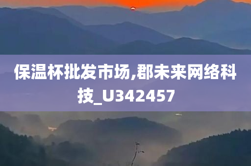 保温杯批发市场,郡未来网络科技_U342457