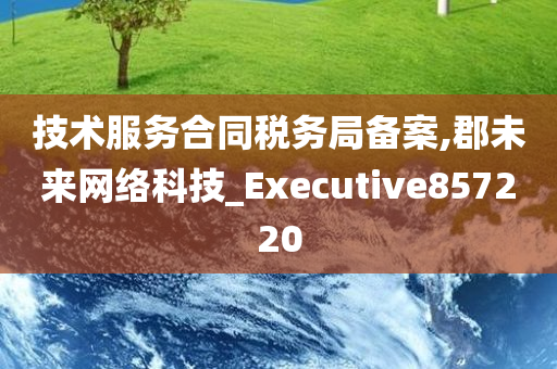 技术服务合同税务局备案,郡未来网络科技_Executive857220