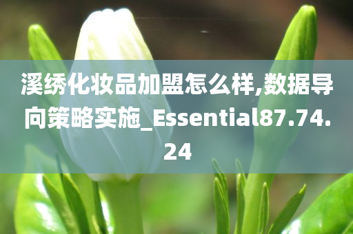 溪绣化妆品加盟怎么样,数据导向策略实施_Essential87.74.24