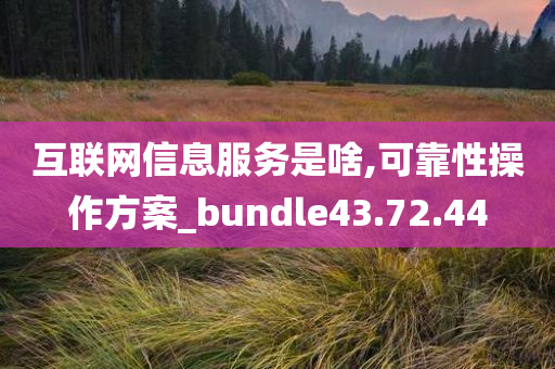 互联网信息服务是啥,可靠性操作方案_bundle43.72.44