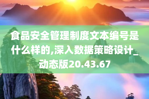 食品安全管理制度文本编号是什么样的,深入数据策略设计_动态版20.43.67