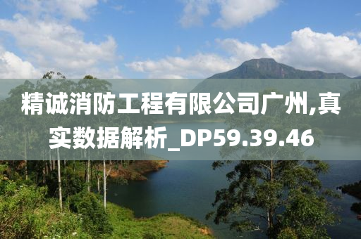 精诚消防工程有限公司广州,真实数据解析_DP59.39.46