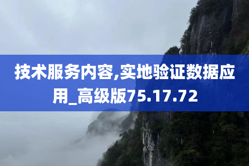 技术服务内容,实地验证数据应用_高级版75.17.72