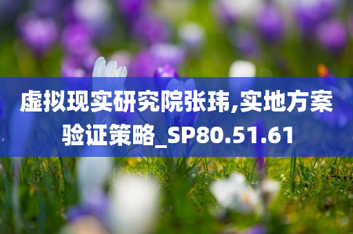 虚拟现实研究院张玮,实地方案验证策略_SP80.51.61