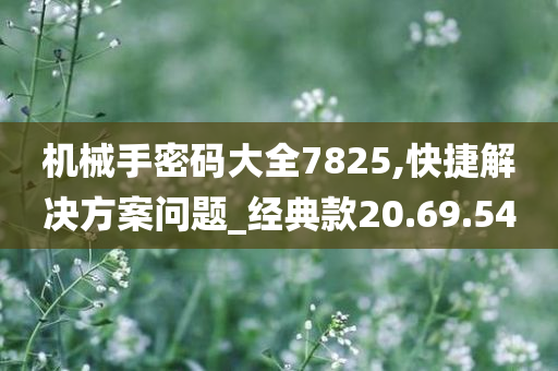 机械手密码大全7825,快捷解决方案问题_经典款20.69.54