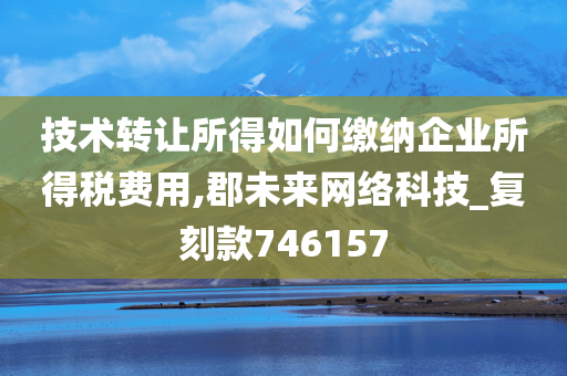 技术转让所得如何缴纳企业所得税费用,郡未来网络科技_复刻款746157