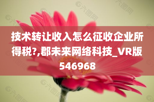 技术转让收入怎么征收企业所得税?,郡未来网络科技_VR版546968