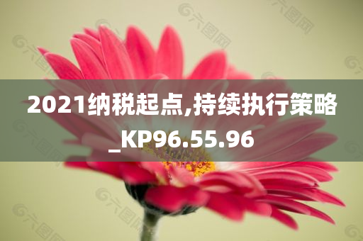 2021纳税起点,持续执行策略_KP96.55.96