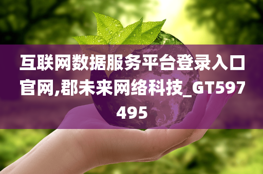 互联网数据服务平台登录入口官网,郡未来网络科技_GT597495