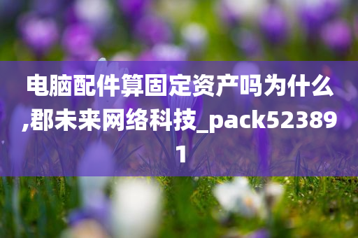 电脑配件算固定资产吗为什么,郡未来网络科技_pack523891