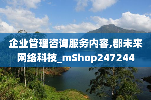 企业管理咨询服务内容,郡未来网络科技_mShop247244