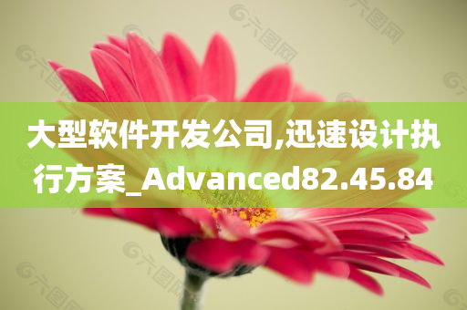 大型软件开发公司,迅速设计执行方案_Advanced82.45.84