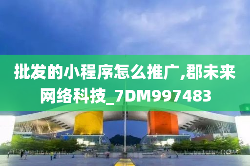 批发的小程序怎么推广,郡未来网络科技_7DM997483