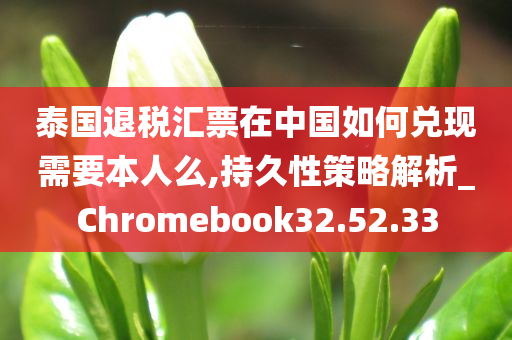 泰国退税汇票在中国如何兑现需要本人么,持久性策略解析_Chromebook32.52.33