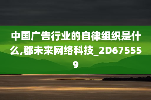 中国广告行业的自律组织是什么,郡未来网络科技_2D675559