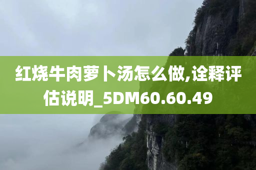 红烧牛肉萝卜汤怎么做,诠释评估说明_5DM60.60.49