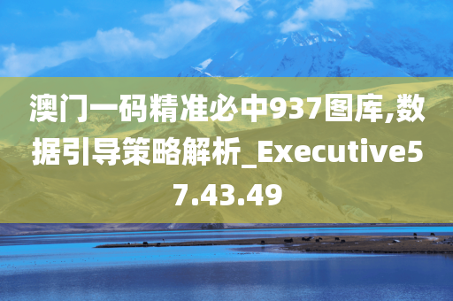 澳门一码精准必中937图库,数据引导策略解析_Executive57.43.49