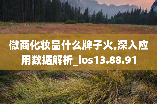 微商化妆品什么牌子火,深入应用数据解析_ios13.88.91