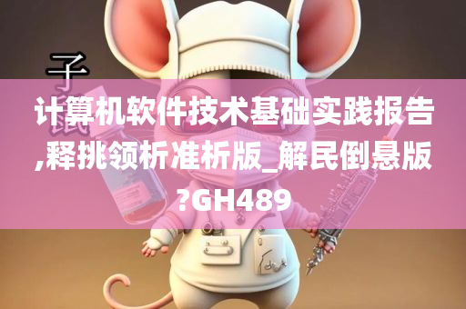 计算机软件技术基础实践报告,释挑领析准析版_解民倒悬版?GH489