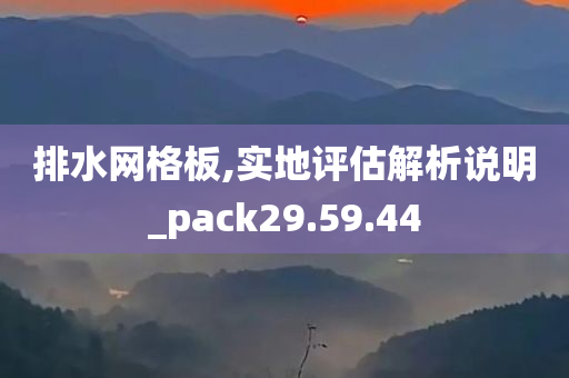 排水网格板,实地评估解析说明_pack29.59.44