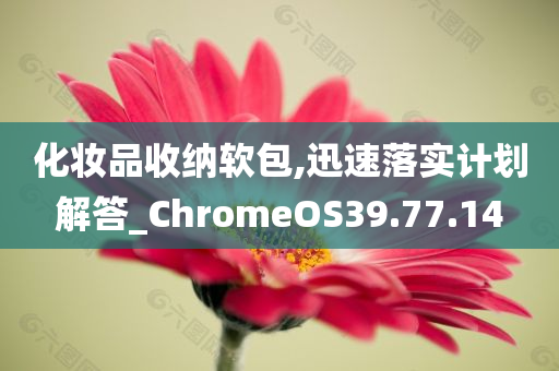 化妆品收纳软包,迅速落实计划解答_ChromeOS39.77.14