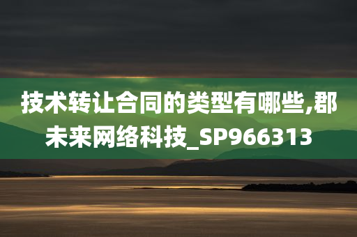 技术转让合同的类型有哪些,郡未来网络科技_SP966313