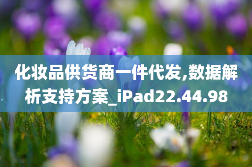 化妆品供货商一件代发,数据解析支持方案_iPad22.44.98