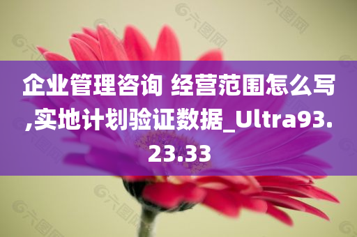 企业管理咨询 经营范围怎么写,实地计划验证数据_Ultra93.23.33