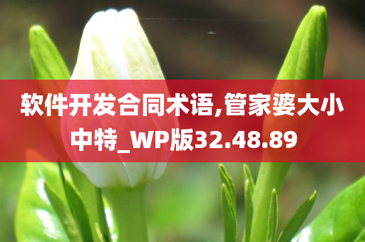 软件开发合同术语,管家婆大小中特_WP版32.48.89