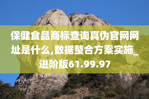 保健食品商标查询真伪官网网址是什么,数据整合方案实施_进阶版61.99.97