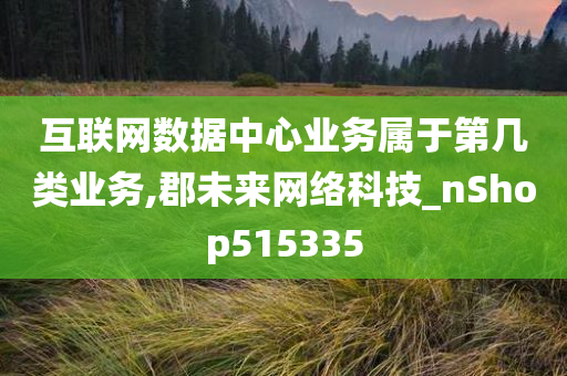 互联网数据中心业务属于第几类业务,郡未来网络科技_nShop515335