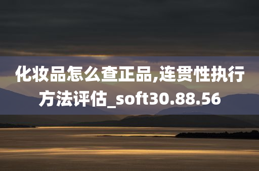 化妆品怎么查正品,连贯性执行方法评估_soft30.88.56