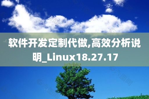 软件开发定制代做,高效分析说明_Linux18.27.17