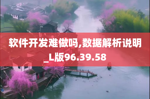 软件开发难做吗,数据解析说明_L版96.39.58