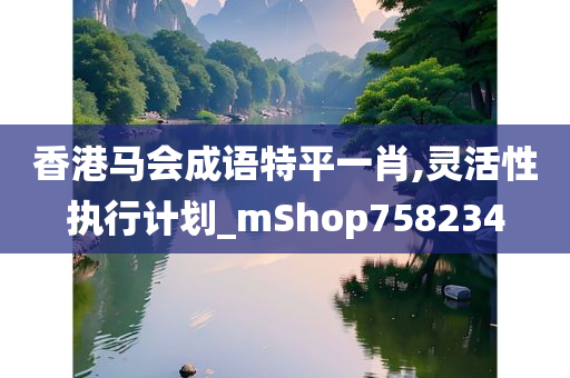 香港马会成语特平一肖,灵活性执行计划_mShop758234