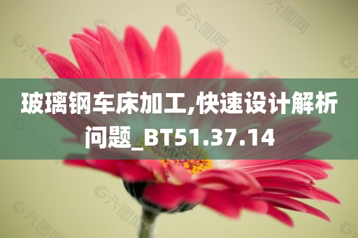 玻璃钢车床加工,快速设计解析问题_BT51.37.14