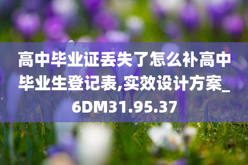 高中毕业证丢失了怎么补高中毕业生登记表,实效设计方案_6DM31.95.37