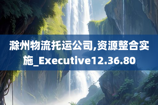 滁州物流托运公司,资源整合实施_Executive12.36.80