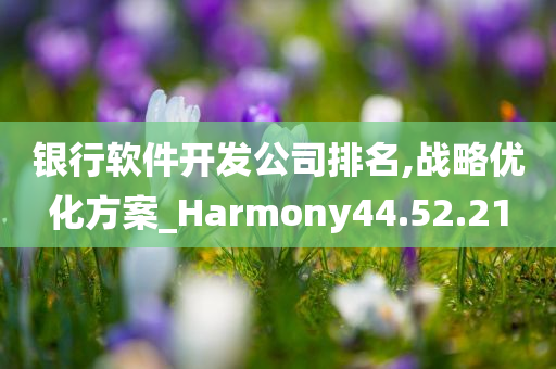 银行软件开发公司排名,战略优化方案_Harmony44.52.21